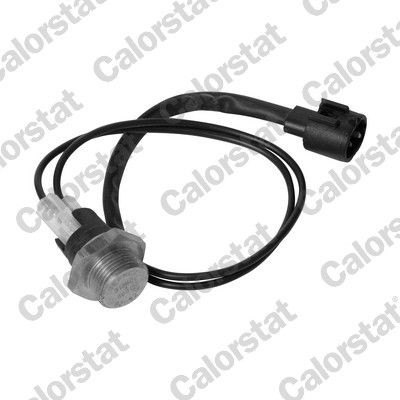 CALORSTAT by Vernet Temperatuurschakelaar, radiateurventilator TS1960 CALORSTAT by Vernet TS1960 Thermoschakelaar radiateurventilator Renault 19 II Chamade originele prijs