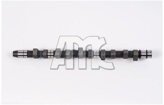 AMC Camshaft 647012 VW TOURAN AMC camshaft 647012