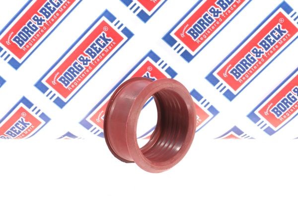 BORG & BECK Tubo aspirazione filtro aria BTH1060 BTH1060 Flessibile d'aspirazione, filtro aria BORG & BECK PEUGEOT 407 costo