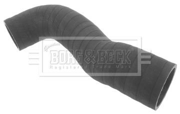 BORG & BECK Tubo flexível do ar de sobrealimentação BTH1214 BTH1214 BORG & BECK Tubo intercooler Mitsubishi baratos