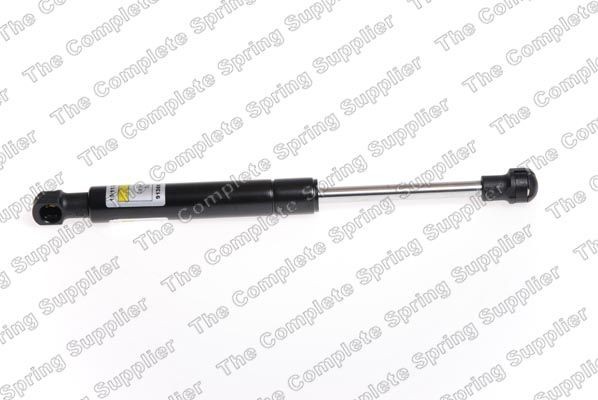 Ammortizzatore pneumatico cofano motore LESJÖFORS 8069703 LESJÖFORS 8069703 costo Ammortizzatori cofano Porsche BOXSTER 2009