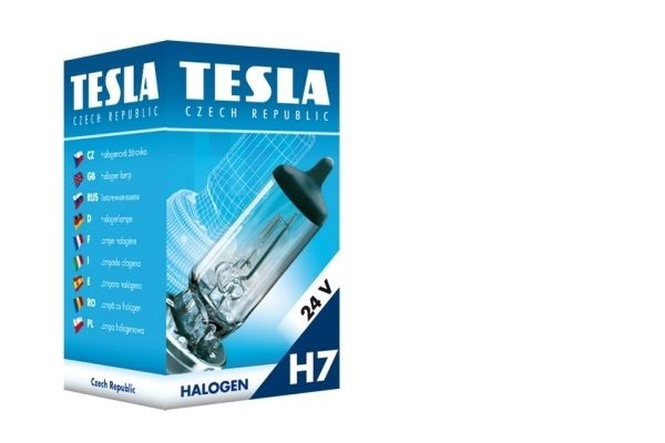 TESLA Λυχνία, μεγάλα φώτα B10702 B10702 TESLA Λυχνία βοηθητικού προβολέα Dacia φθηνά