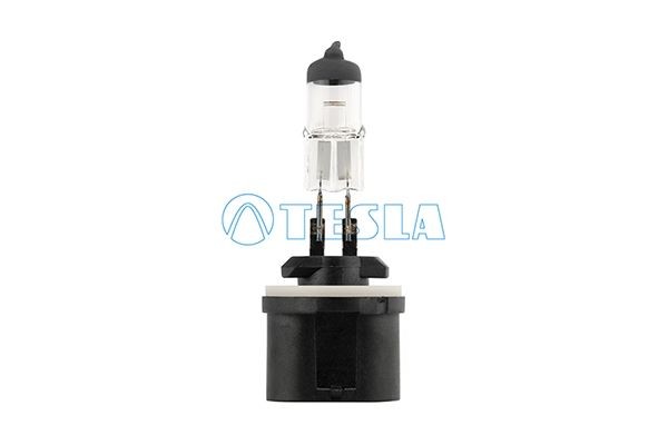 TESLA Gloeilamp, mistlamp B12711 Nissan NV400 Gloeilamp mistlicht TESLA B12711