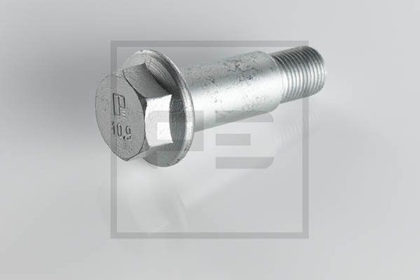 PETERS ENNEPETAL Skrue, bremsecaliper 016.187-00A Bremsecaliper feste holder PETERS ENNEPETAL MERCEDES-BENZ 016.187-00A