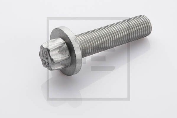 PETERS ENNEPETAL Bullone, Disco freno 010.176-00A 010.176-00A Bullone, disco freno PETERS ENNEPETAL FORD ESCORT costo