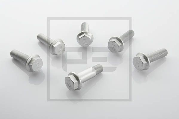 PETERS ENNEPETAL Βίδα, δαγκάνα φρένων 016.187-10A 016.187-10A Στήριγμα δαγκάνας φρένων OPEL INSIGNIA PETERS ENNEPETAL