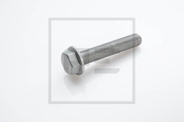 PETERS ENNEPETAL Bullone, Disco freno 016.642-00A 016.642-00A costo Bullone, disco freno FORD ESCORT PETERS ENNEPETAL