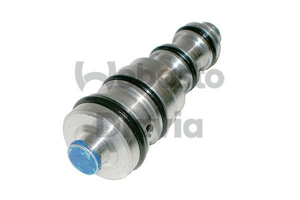 WEBASTO Regulēšanas vārsts, Kompresors 620425013A Regulēšanas vārsts, kompresors WEBASTO Land Rover RANGE ROVER 620425013A