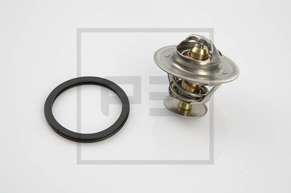 PETERS ENNEPETAL Tetning, dyseholder 140.025-00A Tetningsring innsprøytningsdyse PETERS ENNEPETAL X-TRAIL 140.025-00A billige