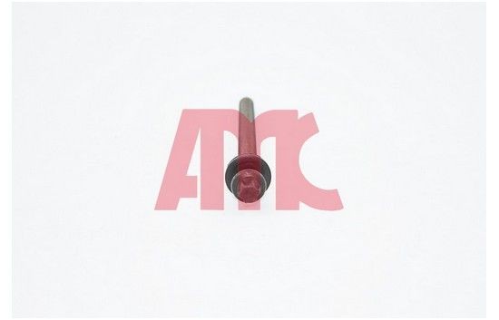AMC Topplocksbultsats 258001 AMC 258001 Topplocksbultar Opel Astra G t98 original
