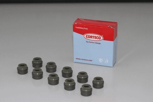 CORTECO Tihendikomplekt, Klapisäär 19036422 Klapisääretihend CORTECO Audi A5 19036422