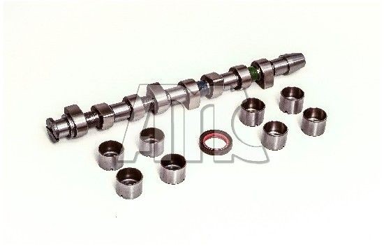 AMC Nokkenasset 613203K Audi TT Nokkenas van de motor AMC 613203K