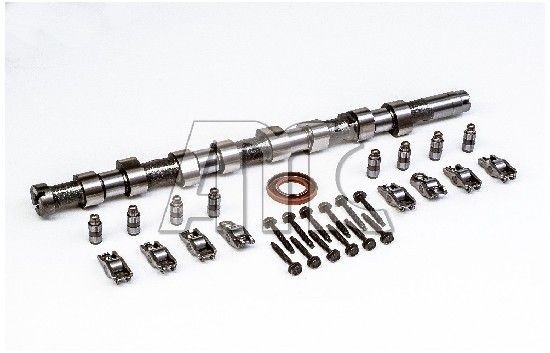AMC Jeu d'arbres à came 666881K AMC 666881K Kit arbre à cames 806 Van (AF) prix