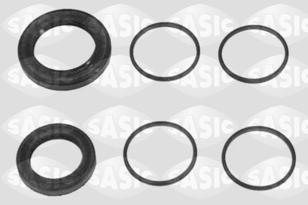 SASIC Reparatieset, stuurhuis 1004013 Reparatieset, stuurhuis SASIC LOGAN 1004013 goedkoop