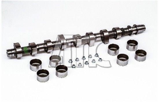 AMC Sadales vārpstas komplekts 641881K AMC 641881K orģinālās Sadales vārpsta TOYOTA 4 RUNNER cena