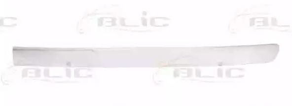 BLIC Ehis- / kaitseliist, Põrkeraud 6502-07-5501911P 6502-07-5501911P Sirm, põrkeraud PEUGEOT 406 BLIC