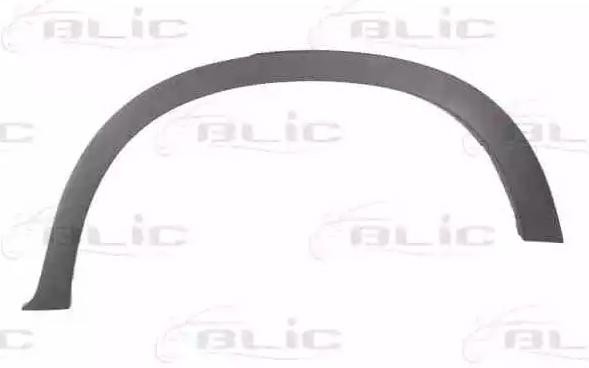 BLIC Pynte- / beskyttelsesliste, skærm 5703-04-0096595P 5703-04-0096595P Beskyttelsesliste BMW X6 BLIC