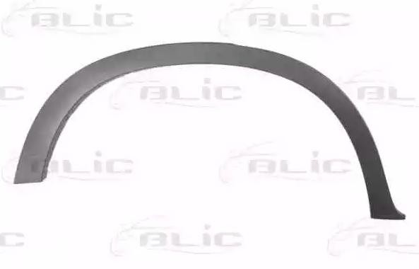 BLIC Pynte- / beskyttelseslist, skvettskjerm 5703-04-0096596P 5703-04-0096596P Dørlister BMW X1 BLIC