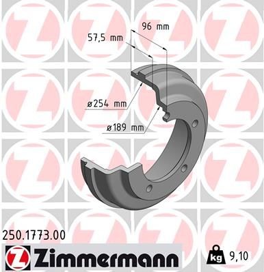 ZIMMERMANN Bromstrumma 250.1773.00 250.1773.00 ZIMMERMANN bromstrummor FORD StreetKA