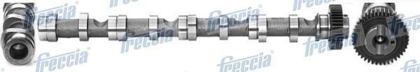 FRECCIA Albero a camme CM05-2195 FRECCIA CM05-2195 Albero a camme Škoda CITIGO costo