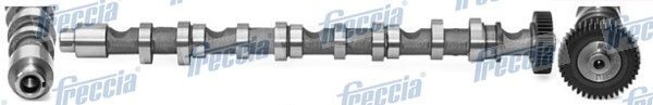 FRECCIA Nokka-akseli CM05-2196 FRECCIA CM05-2196 Honda Accord VIII CU nokka-akseli hinta