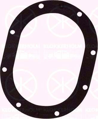 KLOKKERHOLM Guarnizione, Sensore livello carburante 34990095 34990095 Guarnizione, sensore livello carburante KLOKKERHOLM Dacia