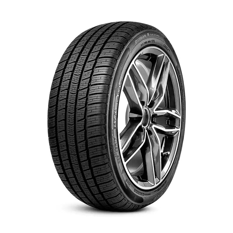 Radar Hjul RGC0126 Radar RGC0126 Dimax 4 Season 195/60 R15