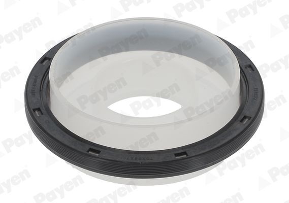 PAYEN Retentor, cambota NA5348 Retentor de cambota PAYEN SOLENZA NA5348 baratos