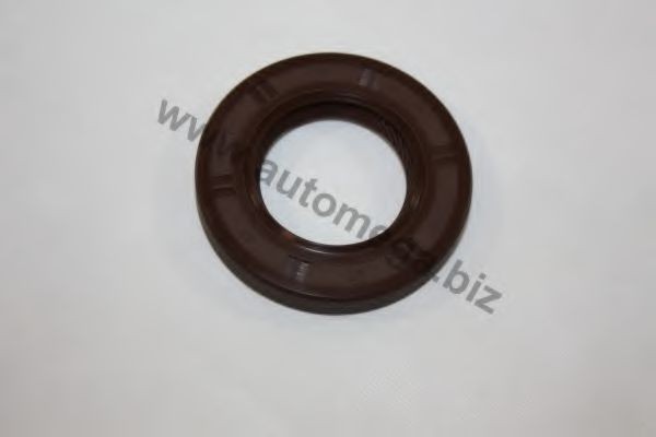 AUTOMEGA Nokkenas keerring 30102310972 Nokkenas keerring AUTOMEGA JUMPER 30102310972 goedkoop