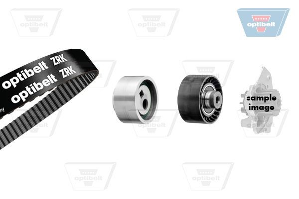 OPTIBELT Galet tendeur de courroie d'accessoire 2019SN Tendeur de courroie d'alternateur OPTIBELT FIESTA 2019SN pas cher
