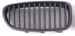 ABAKUS Grill 004-31-484 004-31-484 Radiaatorivõre ABAKUS BMW Z4
