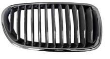 ABAKUS Grill 004-31-488 Õhuvõre ABAKUS BMW Z4 004-31-488