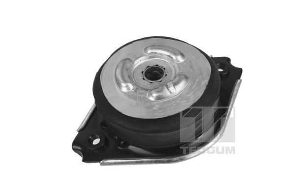 TEDGUM Support moteur 00418536 TEDGUM 00418536 Fixation cache moteur Mercedes-Benz W164 prix