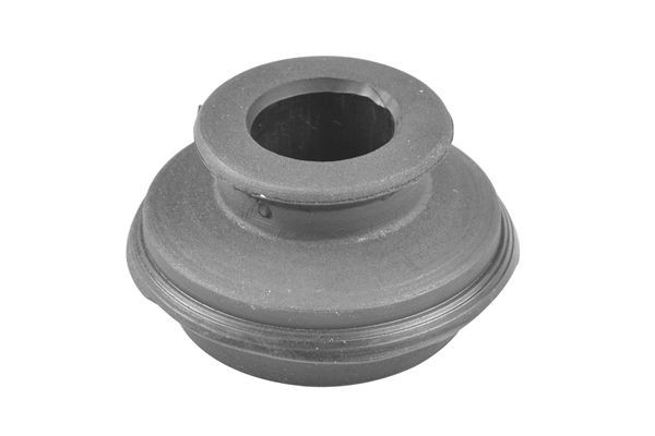 TEDGUM Piekare, Automātiskā pārnesumkārba 00443697 00443697 Ātrumkārbas spilveni NISSAN CABSTAR E TEDGUM