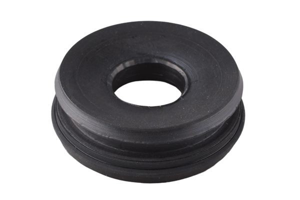 TEDGUM Montering, växel, automatisk 00443698 Byta Växellådsfäste MITSUBISHI Lancer VIII Hatchback (CX_A) kostnad TEDGUM 00443698