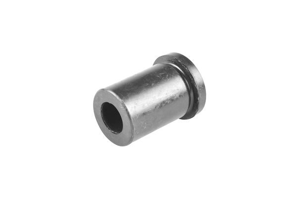 TEDGUM Casquilho, apoio de mola 00463417 TEDGUM 00463417 Casquilho, apoio de mola NISSAN X-Trail (T30) 2.0 140 cv 2007
