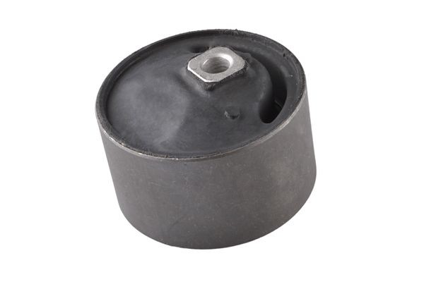 TEDGUM Supporto motore 00465454 00465454 costo Supporto motore NISSAN SENTRA TEDGUM