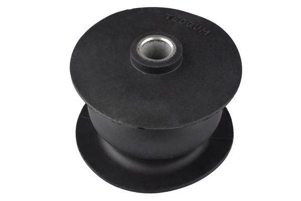 TEDGUM Hållare, motorupphängning 00603794 TEDGUM 00603794 Motorfäste Rover 25 RF original