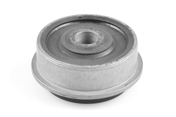 TEDGUM Silent bloc d'essieu 00725908 Fiat FIORINO Support d'essieu TEDGUM 00725908
