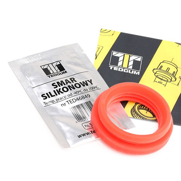 TEDGUM Repair Kit, brake booster 00748698 Renault SAFRANE TEDGUM brake servo 00748698