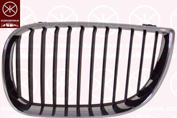 KLOKKERHOLM Radiator Grille 0085994A1 BMW Z4 KLOKKERHOLM radiator grille 0085994A1