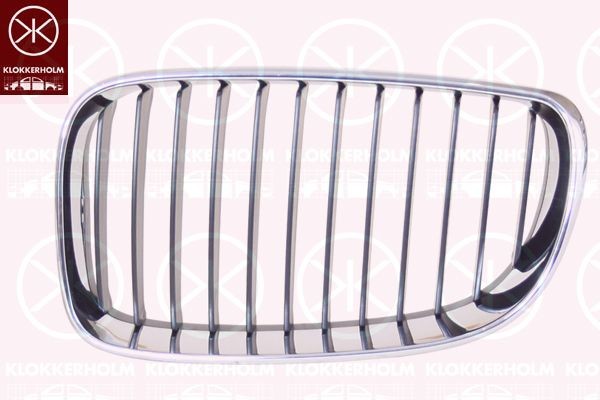 KLOKKERHOLM Radiator Grille 0085998A1 BMW Z4 KLOKKERHOLM radiator grille 0085998A1