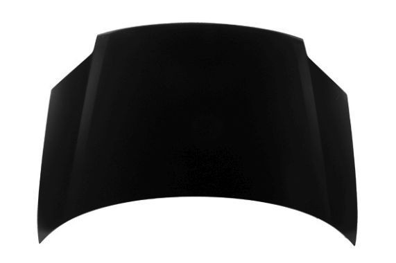 ABAKUS Motorpanser 009-24-100 ABAKUS 009-24-100 Motorpanser PEUGEOT Partner I Combispace 1.6 16V 110 hk 2003