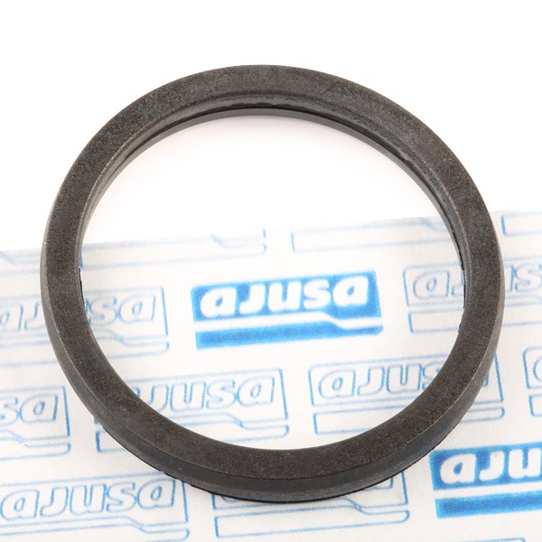 AJUSA Guarnizione, Termostato 00975700 00975700 Guarnizione termostato AJUSA DAIHATSU FEROZA costo