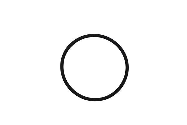 TRUCKTEC AUTOMOTIVE Seal Ring 01.13.199 CITROЁN SPACETOURER TRUCKTEC AUTOMOTIVE seal, injection pump 0113199