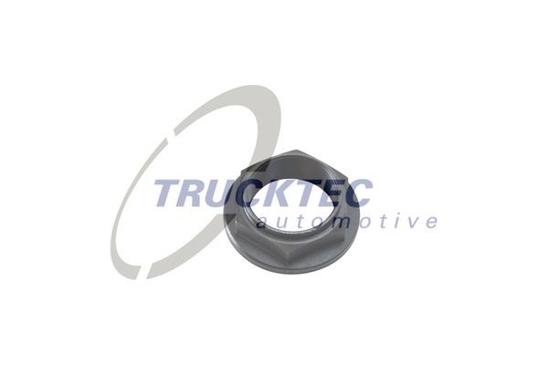 TRUCKTEC AUTOMOTIVE Nakrętka, zwrotnica osi 01.31.043 Nakrętka, zwrotnica osi TRUCKTEC AUTOMOTIVE 01.31.043 tanie