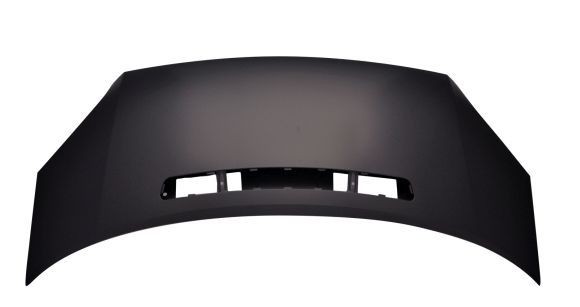 Capô ABAKUS 017-41-100 ABAKUS 017-41-100: Capot Ford TRANSIT 2006