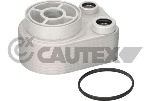 CAUTEX Oljekjøler, motorolje 021282 021282 Oljekjøler RENAULT SCÉNIC CAUTEX