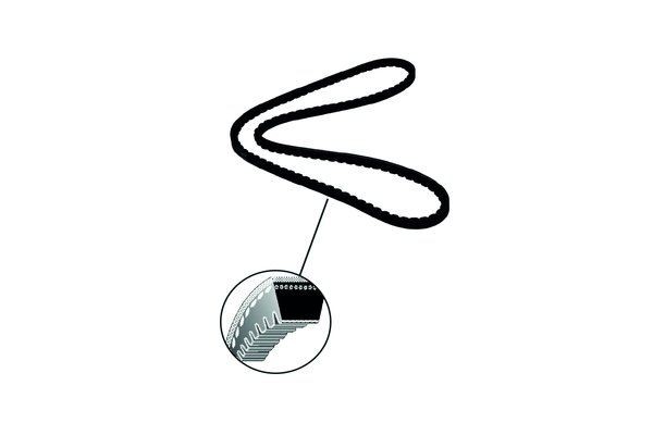 V-Belt TRUCKTEC AUTOMOTIVE 03.19.007 TRUCKTEC AUTOMOTIVE 03.19.007 2014 DACIA LOGAN v-belt replacement