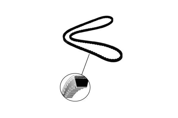 TRUCKTEC AUTOMOTIVE V-Belt 03.19.049 TRUCKTEC AUTOMOTIVE 03.19.049 Renault 19 I v-belt cost